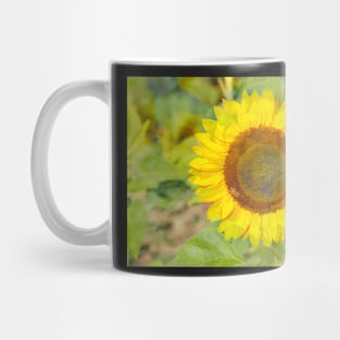 Sunflower, sunflower, abstract, (Helianthus annuus) Mug